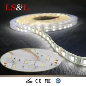 IP65 Waterproof SMD LED Lighting Strips