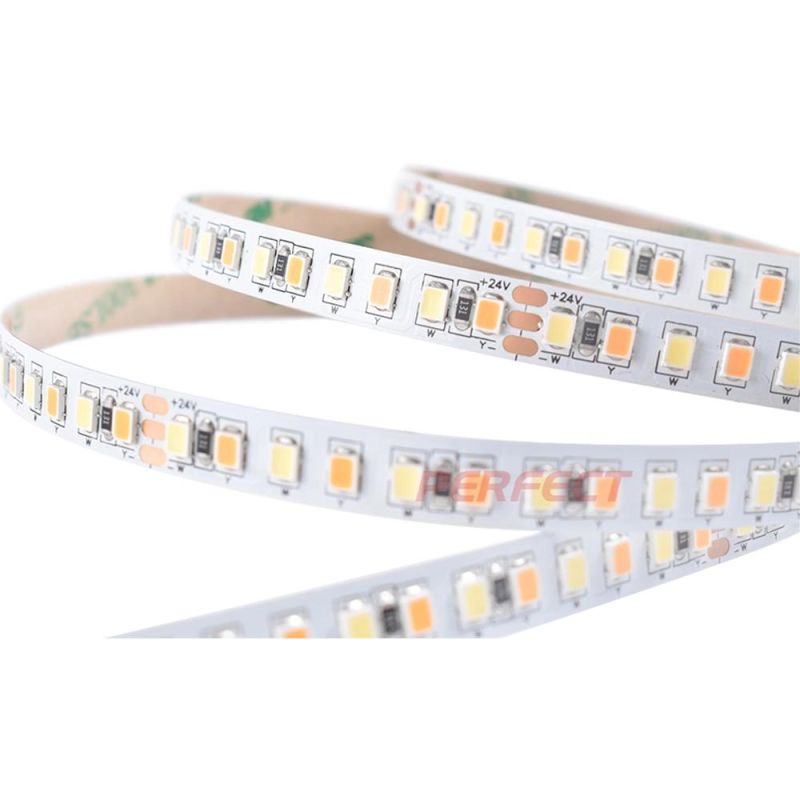 LED Dual Color 168 LED/M SMD2835 High CRI90 2 in 1 Control Multi Color CCT Flexible Strip LED Light
