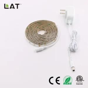 SMD3528 3m IP20/IP65 Ww/Cw 30/60/120LEDs Flexible LED Strip Light