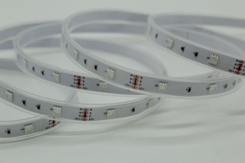 High Brightness Festival Decoration DC 12V/24V LED Flexible Strip RGB LED Strip Lighting