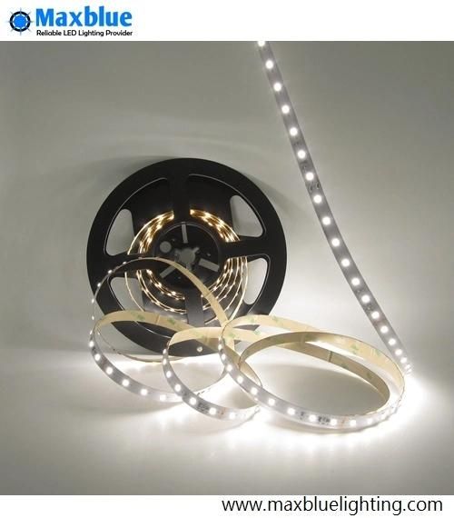 CRI90+ 2835 Dimmable Constant Current LED Strip 70LEDs/M