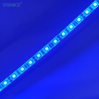 Color Changing LED Strip 5050RGB LED Lighting for Christmas Home Decoration Strip