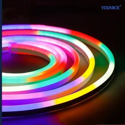 Flash Color Chasing Spi 5050 RGB LED Neon Strip with Stable Signal for Landscape Lighting