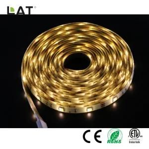 DC12V 3m IP65 Double CCT SMD5025 Ww and Cw 30/60/120LEDs Flexible LED Strip Light