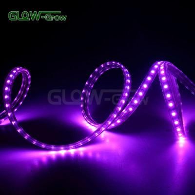230V IP65 SMD 5050 RGB SMD LED Strip for Sign DIY
