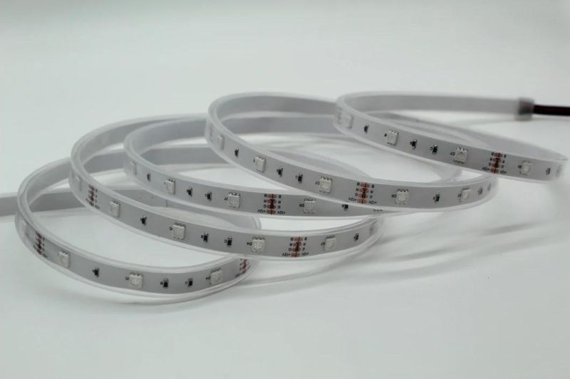 High Bright LED Strip DC12V 24V RGB LED Flexible Light for Building Decoration