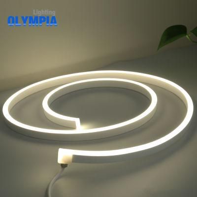 Flexible Tube Waterproof Neon Signs Display Hanging Neon Light