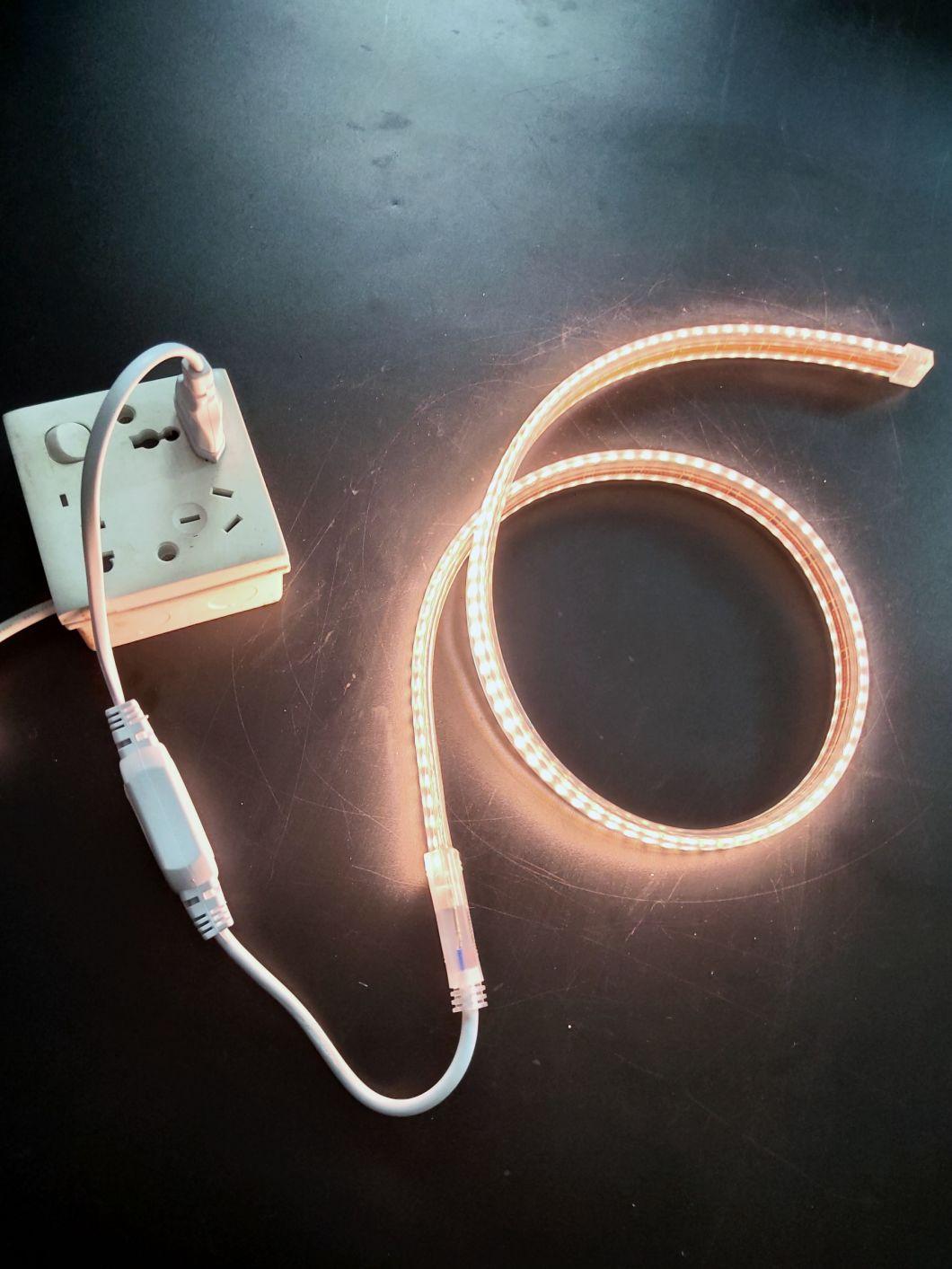 240LEDs/Meter High Brightness Decoration LED Strip Light with Plug