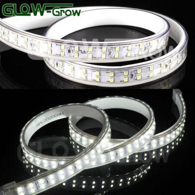 SMD 2835 180 (90*2) LEDs/M AC IP65 LED Flexible Strip Light for Hall Decoration