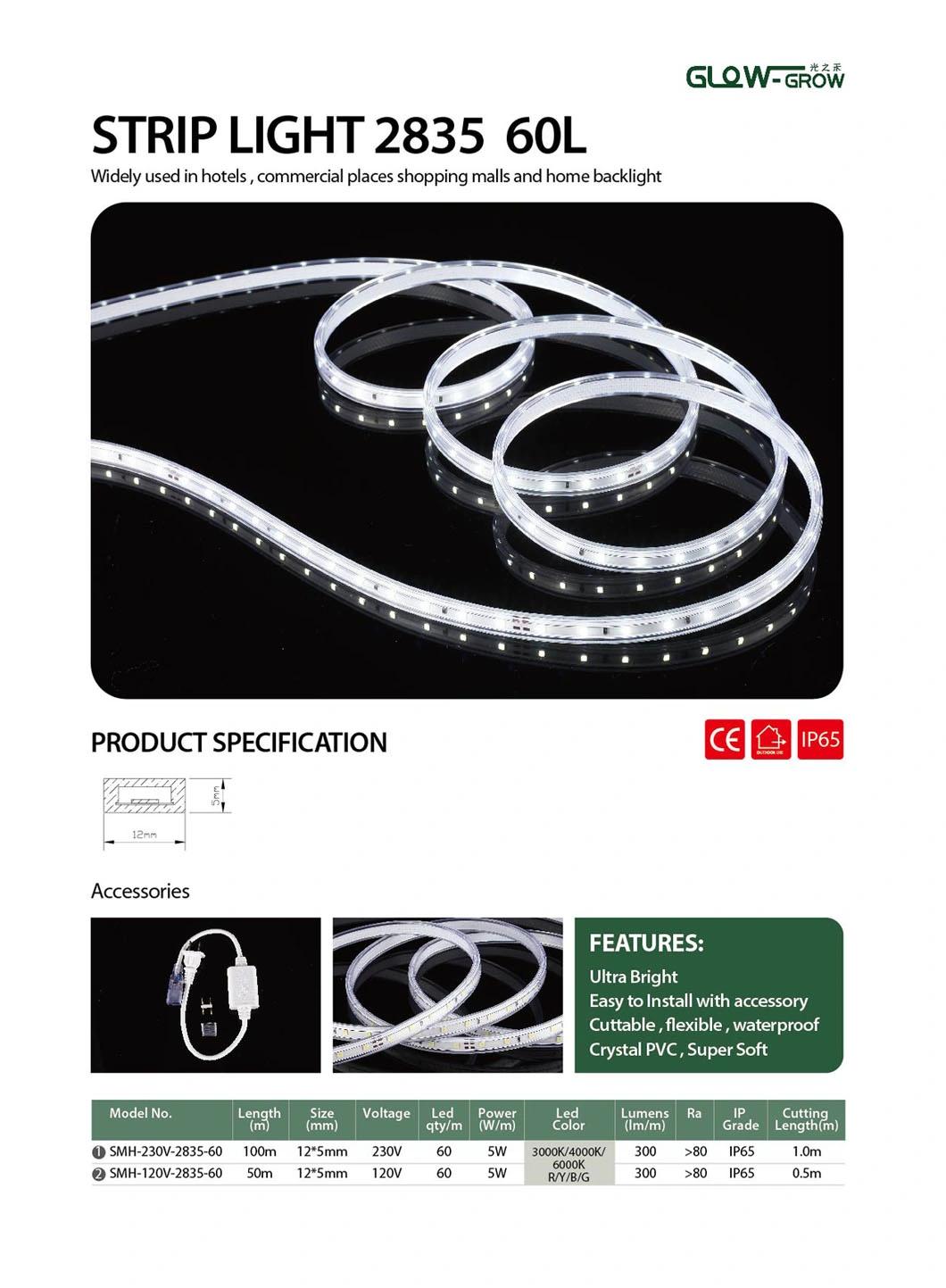 Rope Lamp DC 120V IP65 Waterproof 60LEDs/M SMD 2835 LED Strip Light