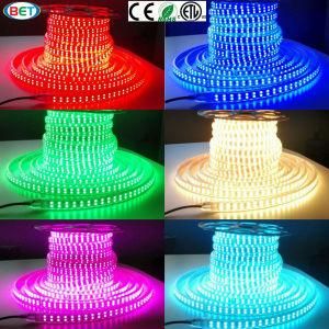 ETL/UL 120V/220V Double Row RGB LED Strip Light LED Ribbon