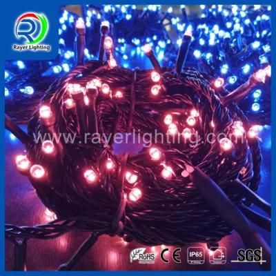 LED High Quality Outdoor Decoration LED Outdoor Decorative String Decorative Light