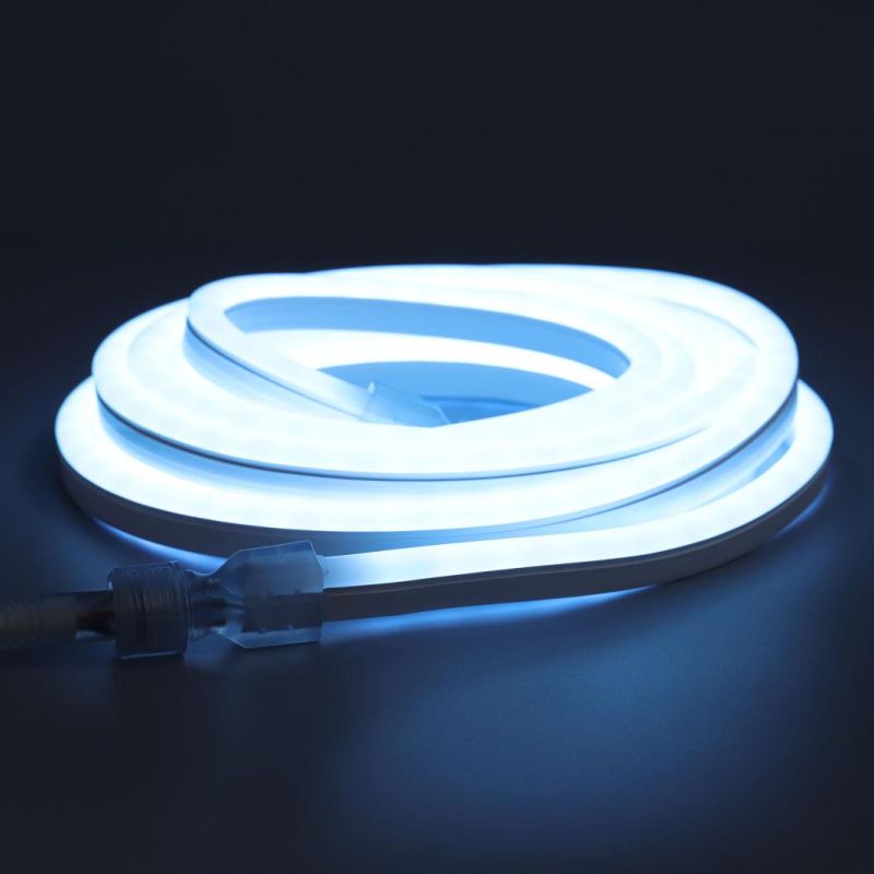 Christmas Decoration 110V/230V LED Flexible Colorful Light