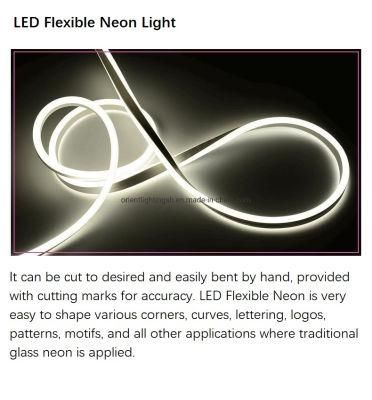IP65 Waterproof Outdoor Rope Lighting RGB LED Light