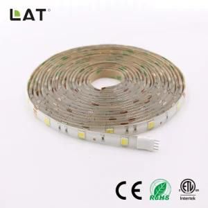 DC24V 5m IP20 Double CCT SMD5025 Ww and Cw 30/60/120LEDs Flexible LED Strip Light