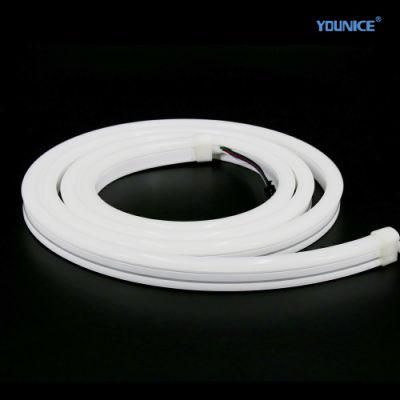 Wholesale 4 Channel DMX512 Addressable SMD5050 RGBW DC24V Pixel LED Neon Tape Strip