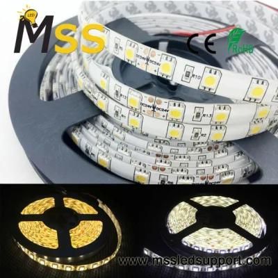 Factory Direct Sale 5050 LED Light Strip LED Strip 24V