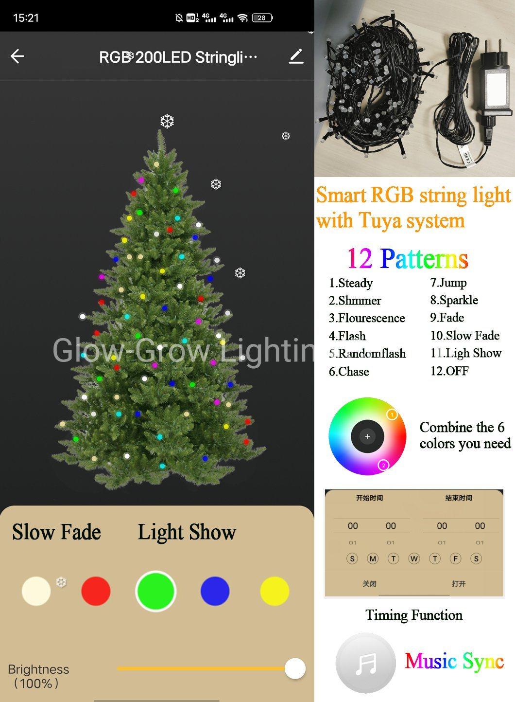 IP44 200LEDs Dimmable RGB Fairy Light Christmas LED Light String with Tuya Smart Music Sync for Wedding Home Room Party Decoration