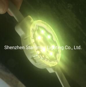 5 Years Warranty DMX Spi LED Pixel Addressable DOT Light LED Module Christmas Decoration Wedding Decoration LED Lighting