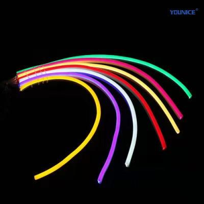 Dream Color Spi 5050 RGB LED Neon Strip with Stable Signal for Showcase Lighting