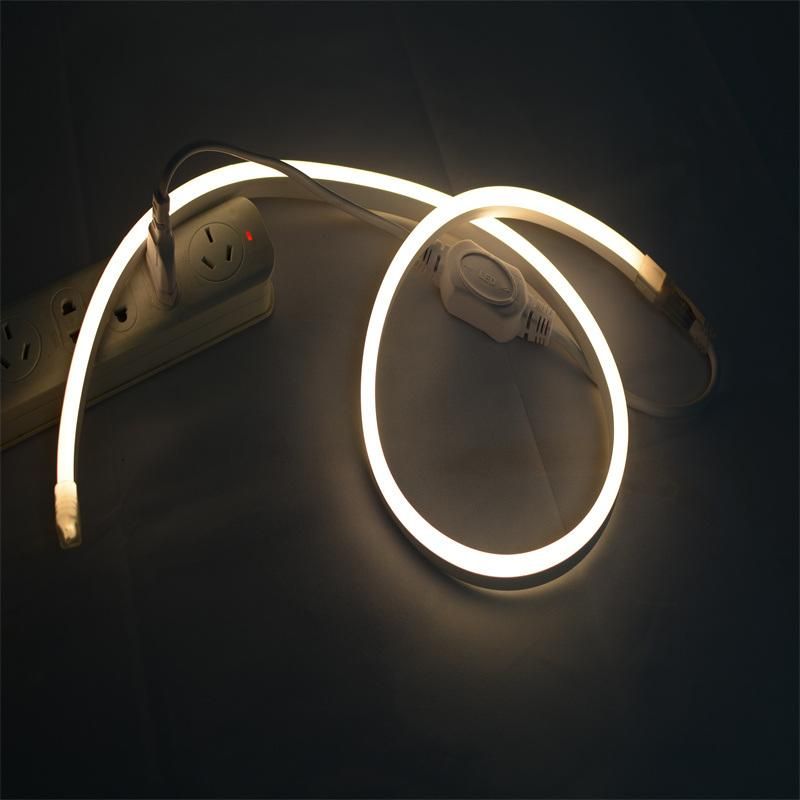 China Wholesale Manufacturer SMD5050 LED Neon Christmas Decoration Light