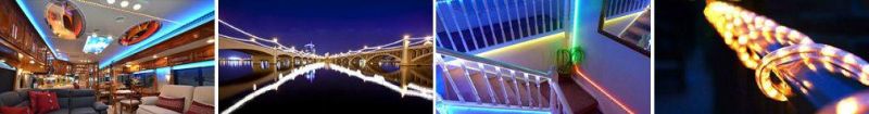 LED Indoor Water Feature Decoration LED Digtal Strip