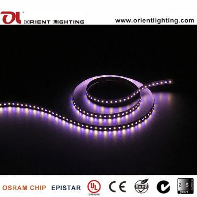 UL Ce Waterproof IP65 SMD 5060 SMD2835 RGBW LED Flexible Strip Light