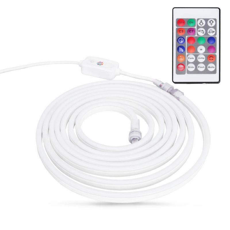 Christmas Decoration 110V/230V LED Flexible Colorful Light