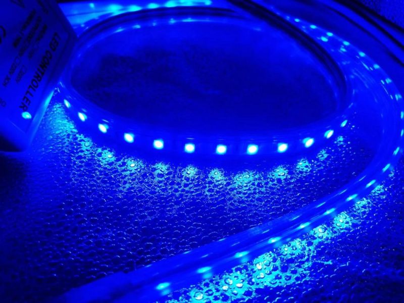 China Top Quality 50m SMD5050 RGB Holiday Christmas LED Decoration Light with RF RGB Controller