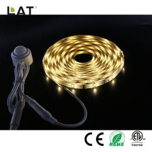 DC24V 5m IP65 SMD2835 Ww/Cw 30/60/120LEDs Flexible LED Strip Light with Sensor Can Adjust 30s to 10min