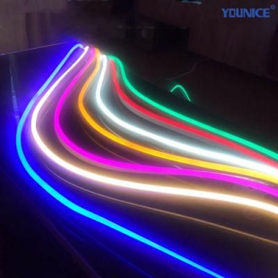 Flash Dream Color Spi 5050 RGB LED Neon Strip with Stable Signal for Landscape Lighting