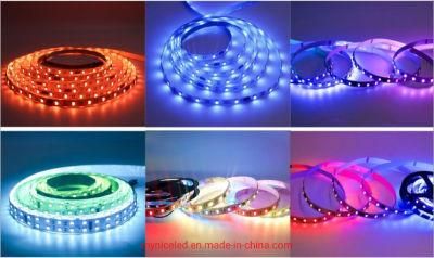 24V 210lm/W High Luminous Efficiency Dimmable 2835 LED Light Strip