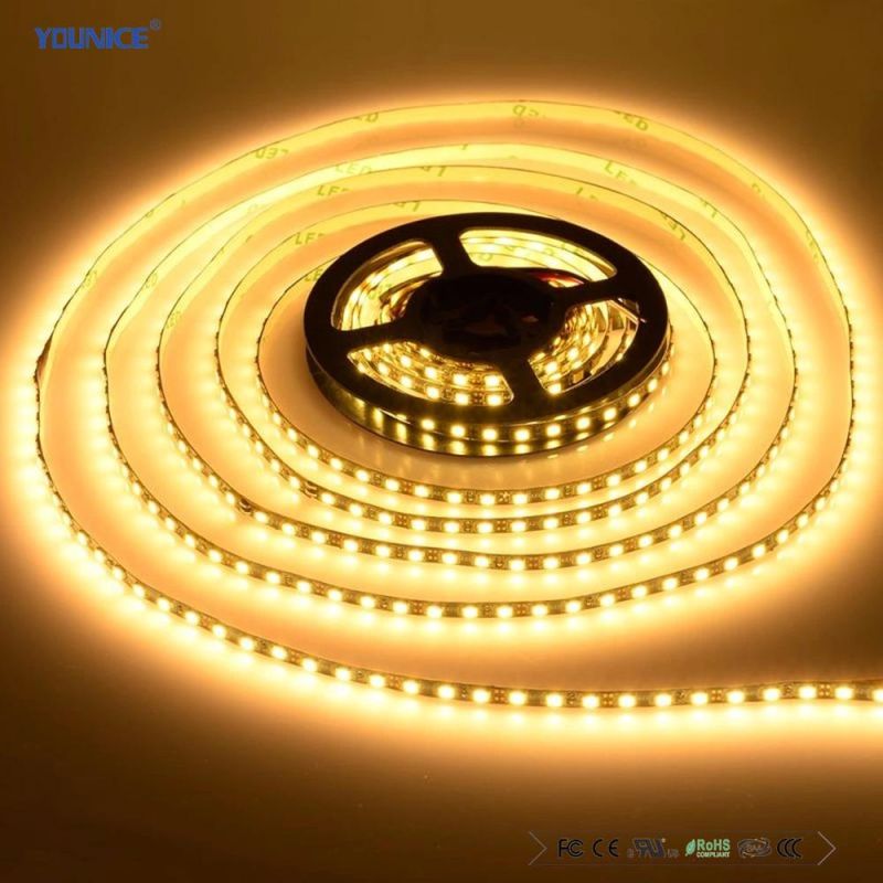 DC24V PCB5mm SMD2835 LED Ribbon Light Flexible Strip