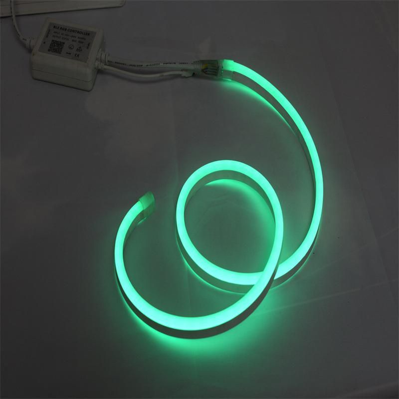 China Wholesale Manufacturer SMD5050 LED Neon Christmas Decoration Light