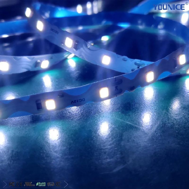 50m Per Roll S Type LED Strip for Signage Channel Letter