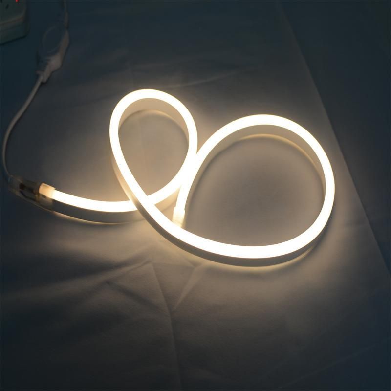 Shenzhen CRI80 IP67 Waterproof Outdoor Neon Flexible LED Strip