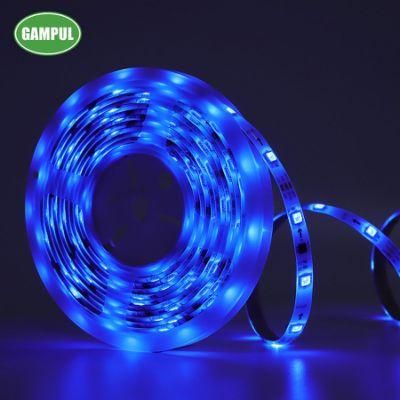 Custom LED RGB Color Chasing Music LED Strip Light for Home, Yard, Part, Christmas Decorations