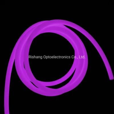 LED Neon Rope Waterproof IP67 360 Degree Emitting Flex Neon for Garden Decoration