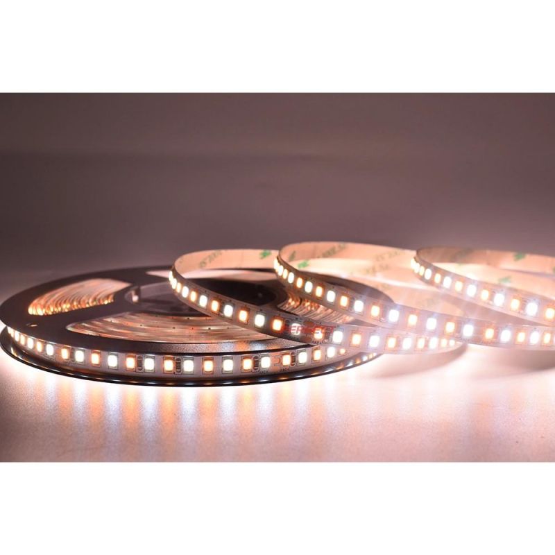 LED Dual Color 168 LED/M SMD2835 High CRI90 2 in 1 Control Multi Color CCT Flexible Strip LED Light