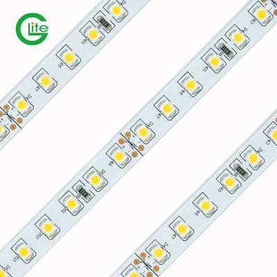 3years Warranty SMD3528 120LED DC24 Single Color Strip for Lighting Decoration