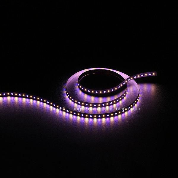 UL Ce SMD5060 60LEDs 14.4W 12V Artificial Intelligent Flexible Strip Light LED RGB