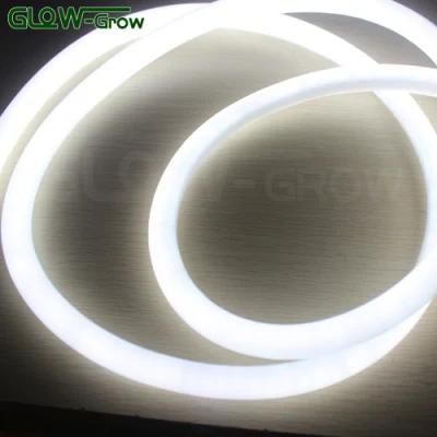 Manufacturer 6000K Cool White 120V 14mm 360 LED Neon Lamps LED Neon Flex Light for House Bar Project Decoration