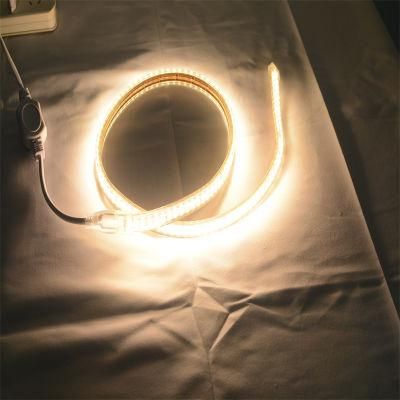 Shenzhen Manufacturer AC220V SMD2835 Outdoor Decoration Waterproof LED-Strips