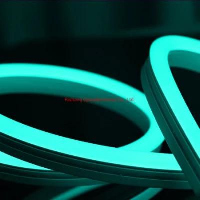 RGB 2835 120LEDs/M Ribbon LED Neon Light IP67 Mini Flex Neon
