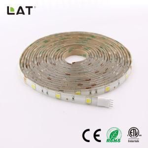 DC12V 1m IP65 Double CCT SMD5025 Ww and Cw 30/60/120LEDs Flexible LED Strip Light
