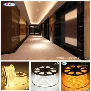 AC110V AC220V High Voltage RGB LED Strip Ribbon