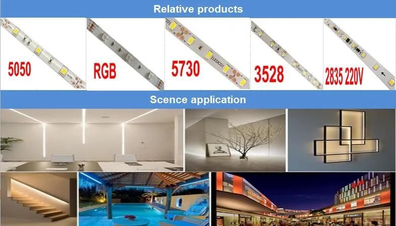 SMD 2835 LED Strip Outdoor Light Single Color 120LEDs/M 12V DC