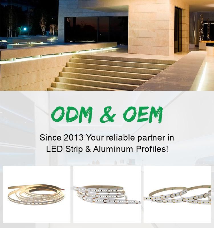 DC 24V Dimmable CCT SMD 2216 Flexible LED Strip