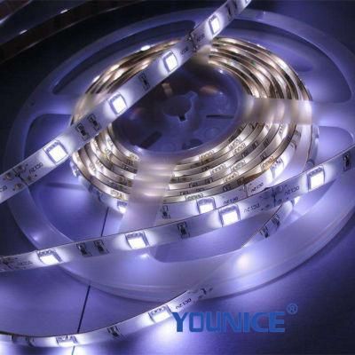 IR Remote Control 5050 RGB Color Changing Light Strips for Bedroom Home Festival Decoration