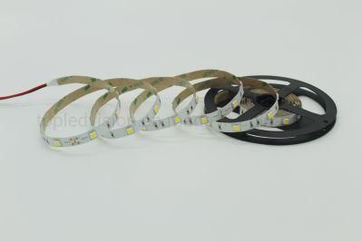 Whole Shaped LED Neon12V 24V White Color Decoration Rope Strip Flexible Lights